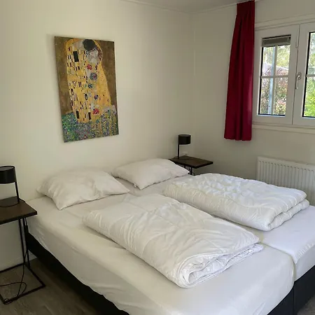 Ferienhaus Europarcs De Zanding *